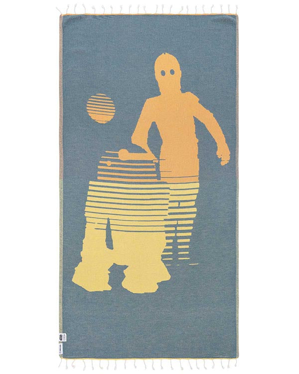 STAR WARS - Droids C-3PO & R2-D2 - Image 3