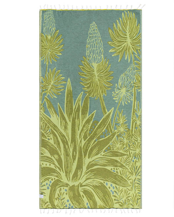 Agave - Image 3